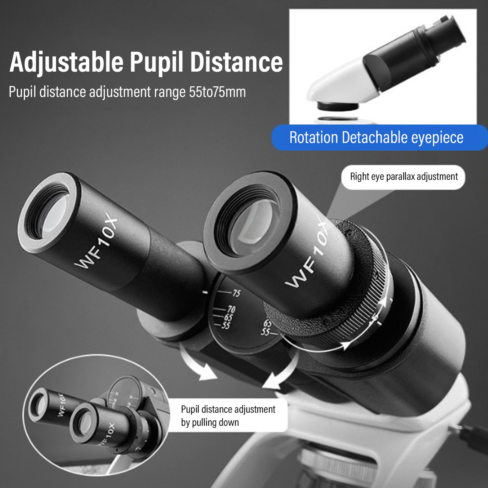 40X-1600X Industrial Microscope Trinocular Microscope With LED Light Microscope