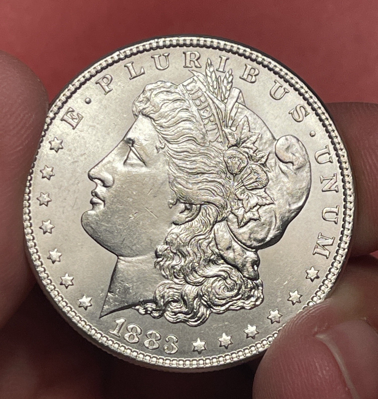 1883 P Morgan Silver Dollar, Choice Uncirculated.