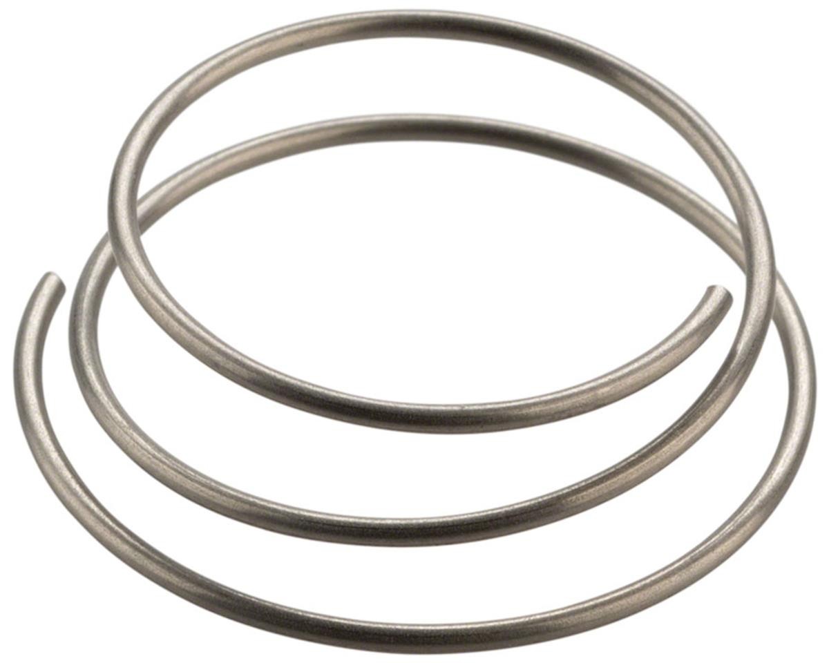 DT Swiss Star Ratchet Spring (For All Star Ratchet Hubs) [HXDXXX00N1087S]