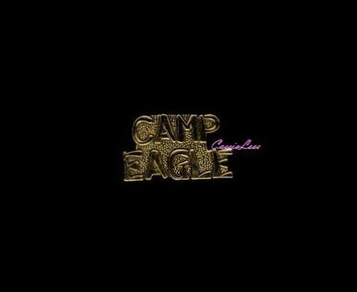 VN CAMP EAGLE + a custom promo pin