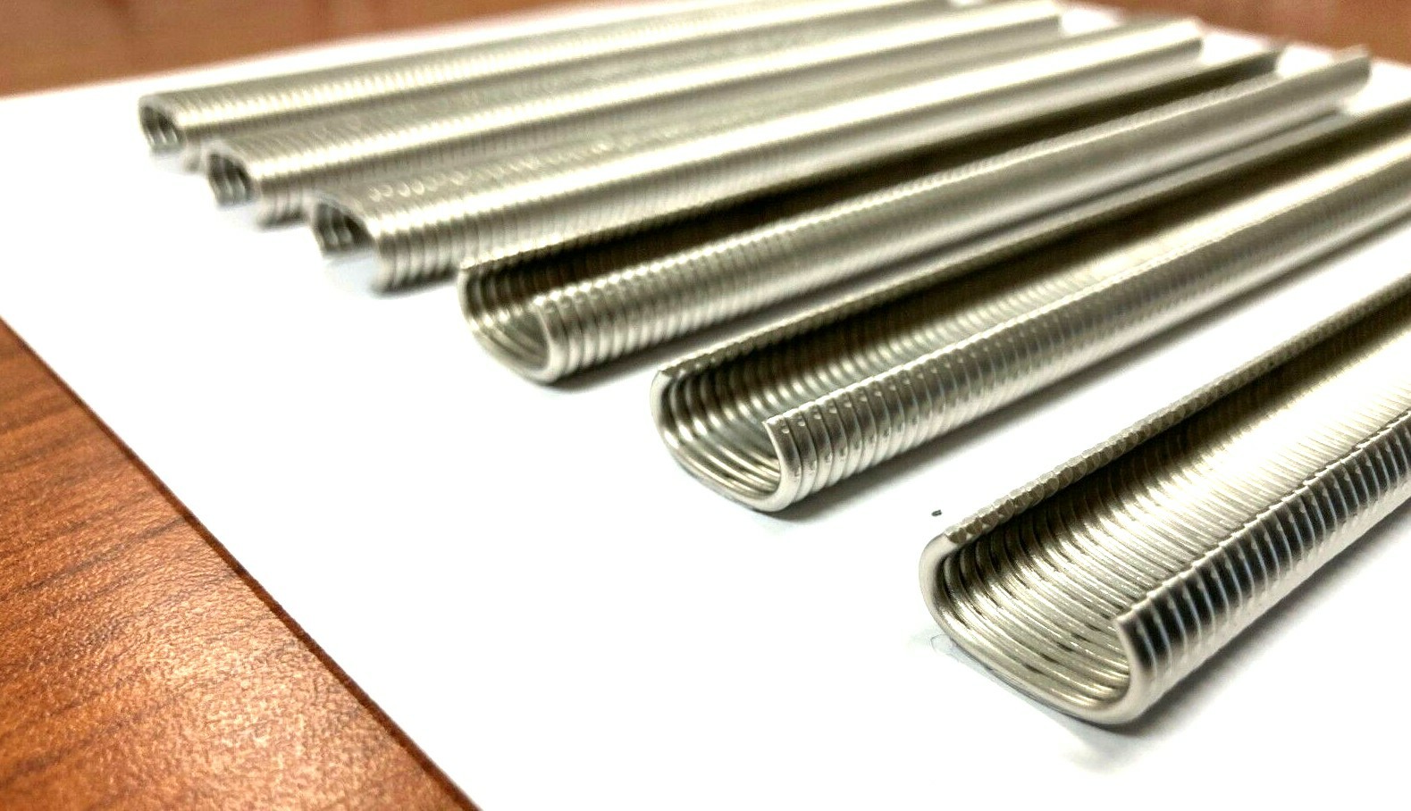 C-RINGS FASTENERS 1/2" 16ga STAINLESS COLLATED, SHARP/BLUNT 516SS100, 516SS100B