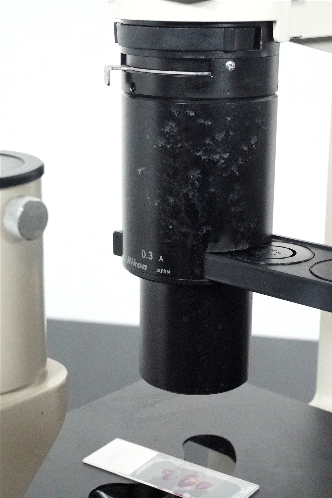 Nikon TMS Inverted Phase Contrast Microscope, 4X, 10X Ph3DL, 20X Ph2DL, 40X PH3D