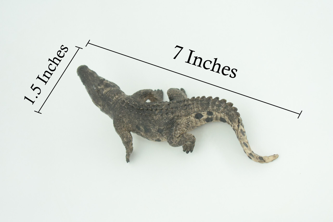 Alligator Toy, Crocodile, Movable Jaws, Realistic Rubber Model, 7" CH817 BB189