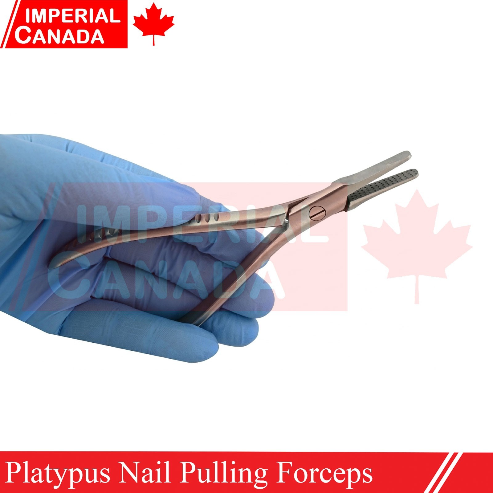 Platypus Nail Pulling Forceps Pliers 5.5" Surgical Instruments German Gr DN-2702