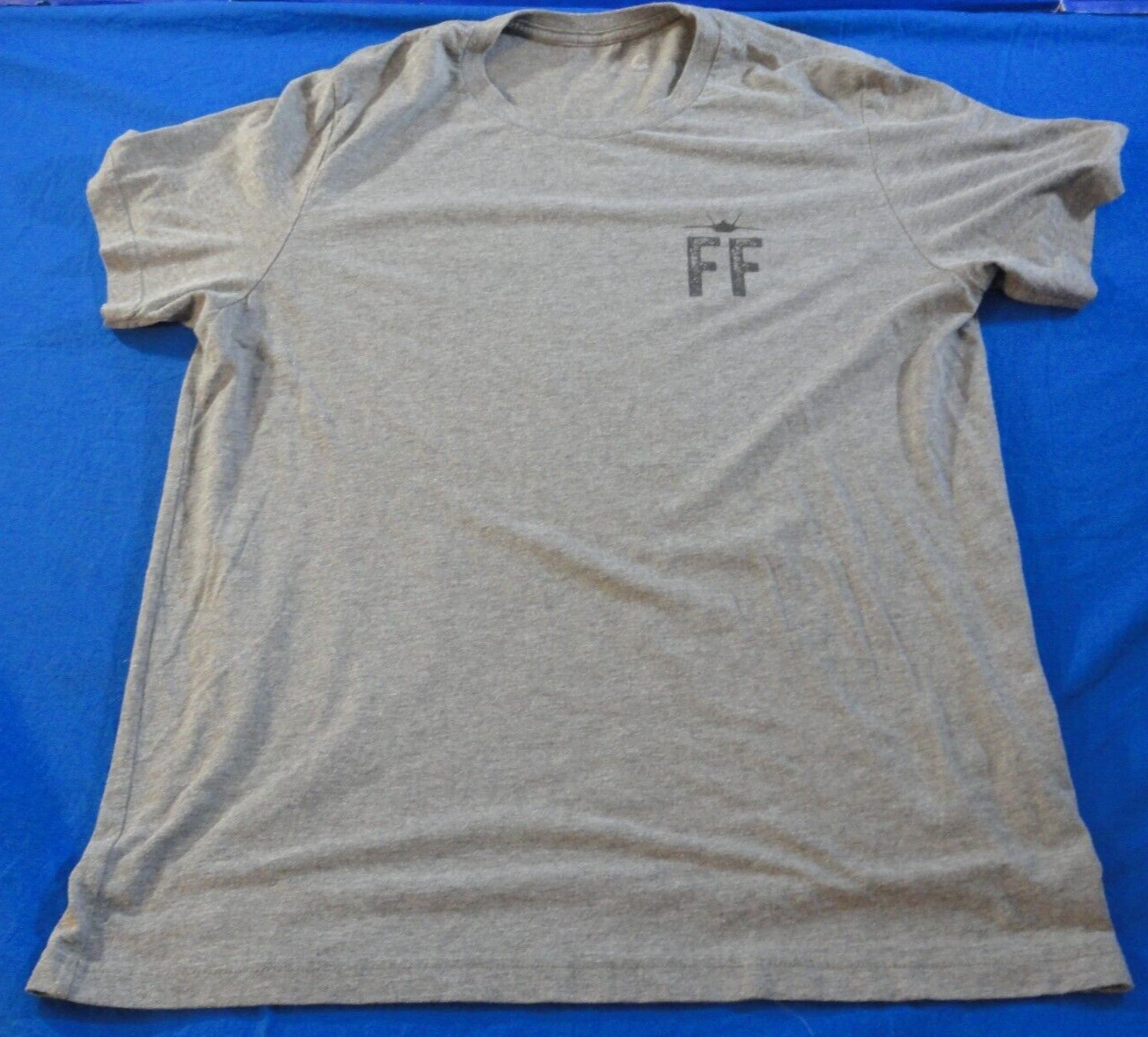 DISCONTINUED AIR FORCE FIRST FIGHTER WING AUT VINCERE AUT MORI GRAY SHIRT XS
