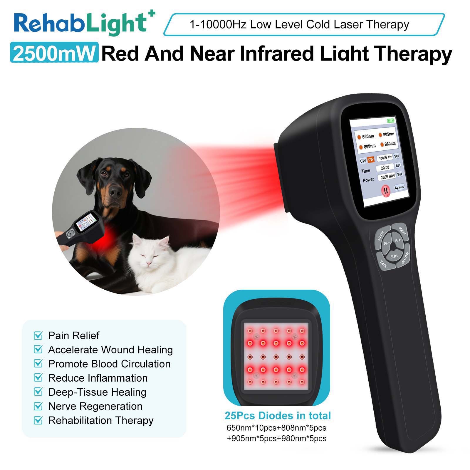 Veterinary 2500mW Cold Laser Machine for Dogs Horses & Sheep Body Joint Support