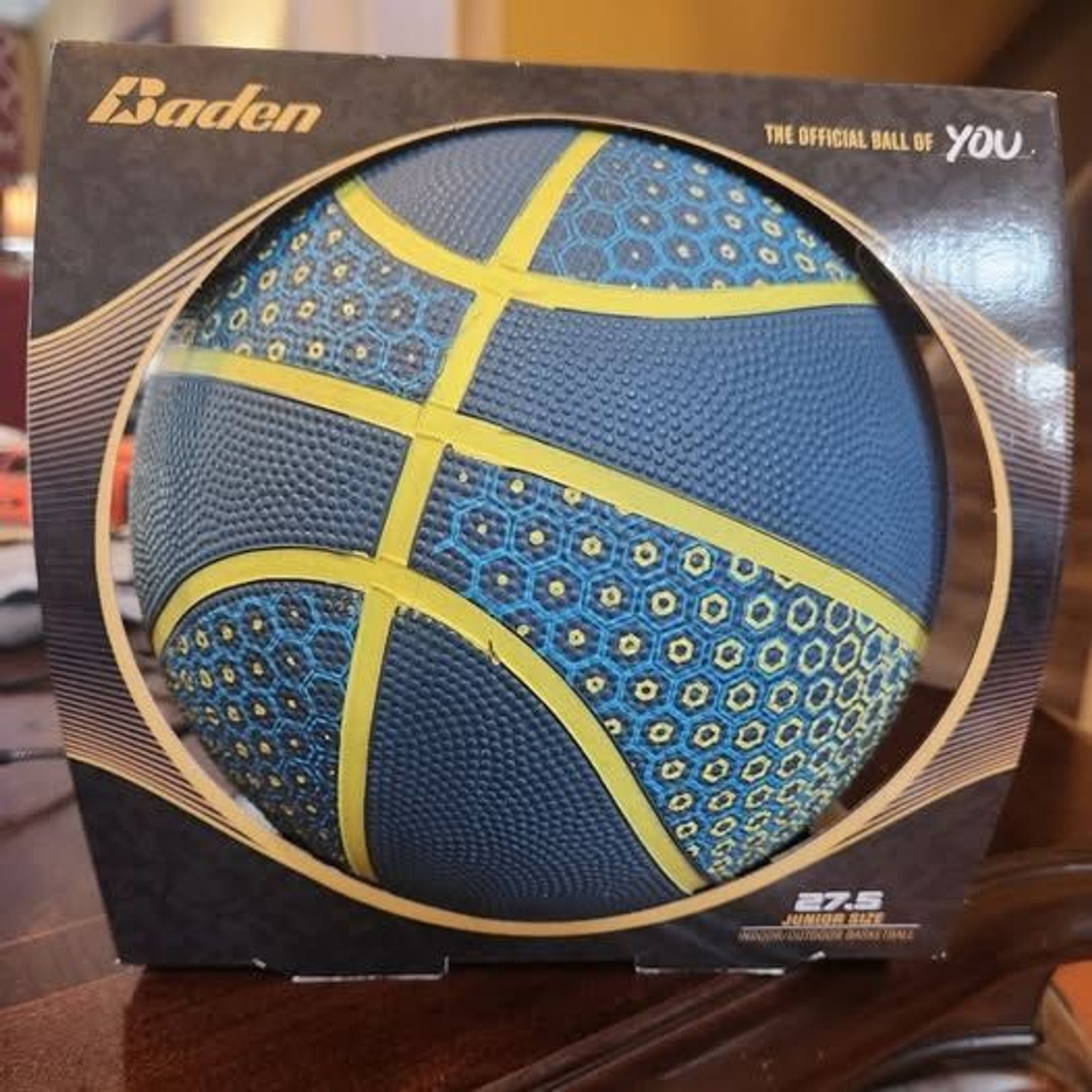 Indoor Outdoor Pool Basketball NIB
