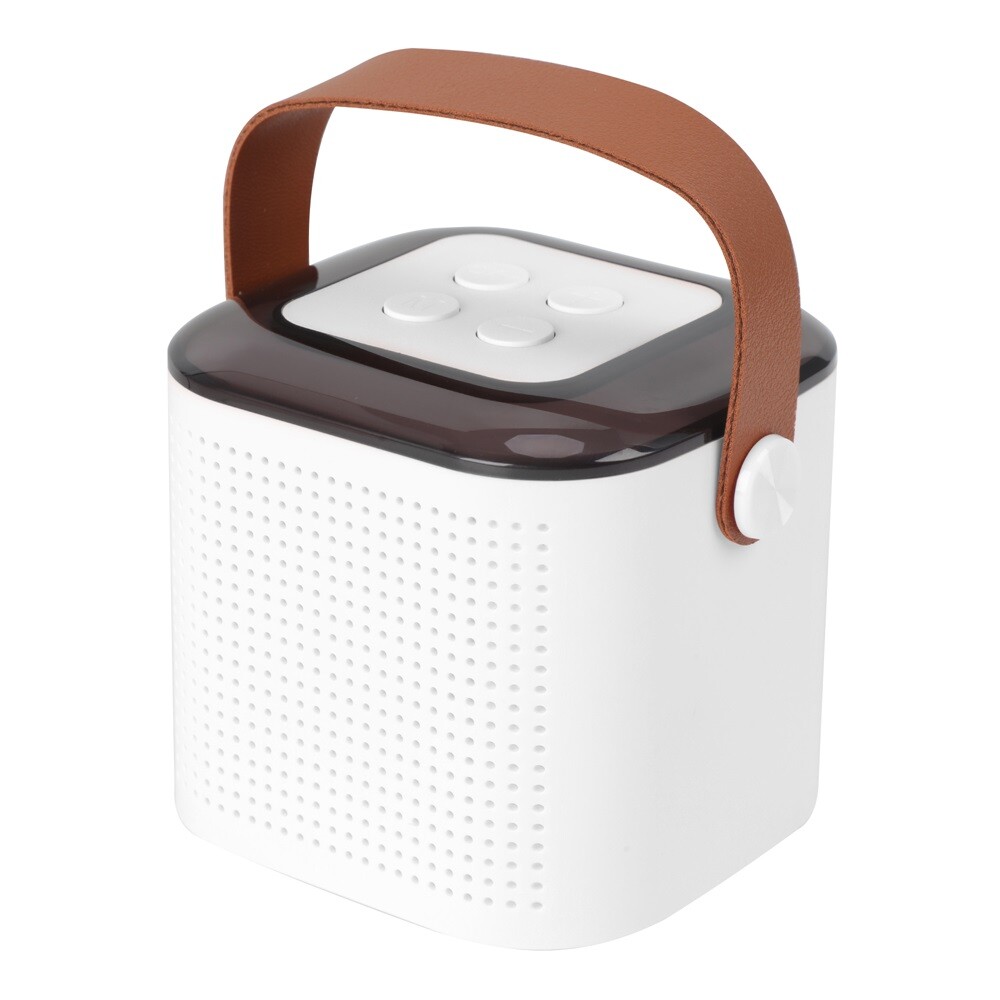 Portable White Bluetooth Karaoke Speaker Machine Kids Mics