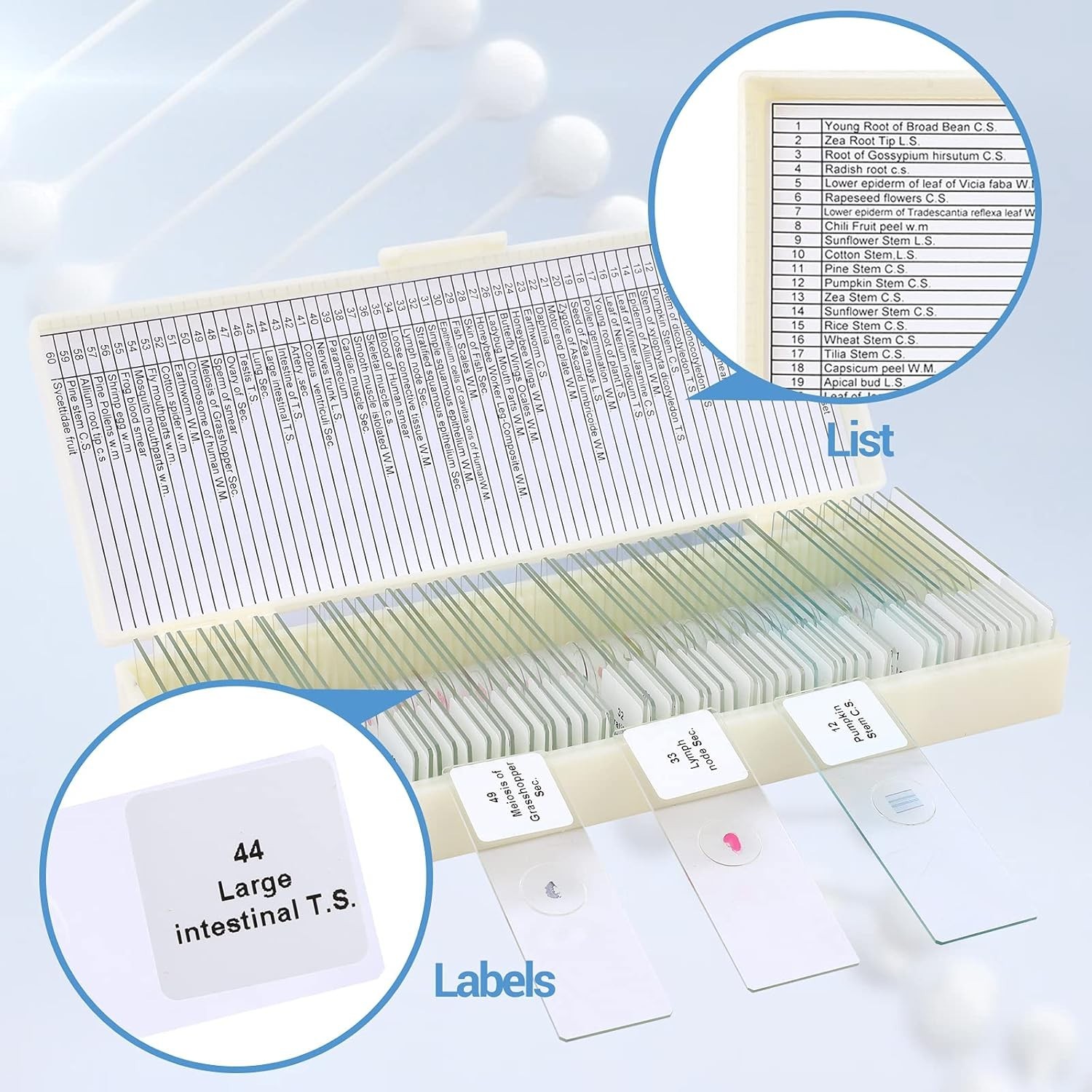 60 Microscope Slides with Specimens for Kids, Prepared Microscope Slides for ...