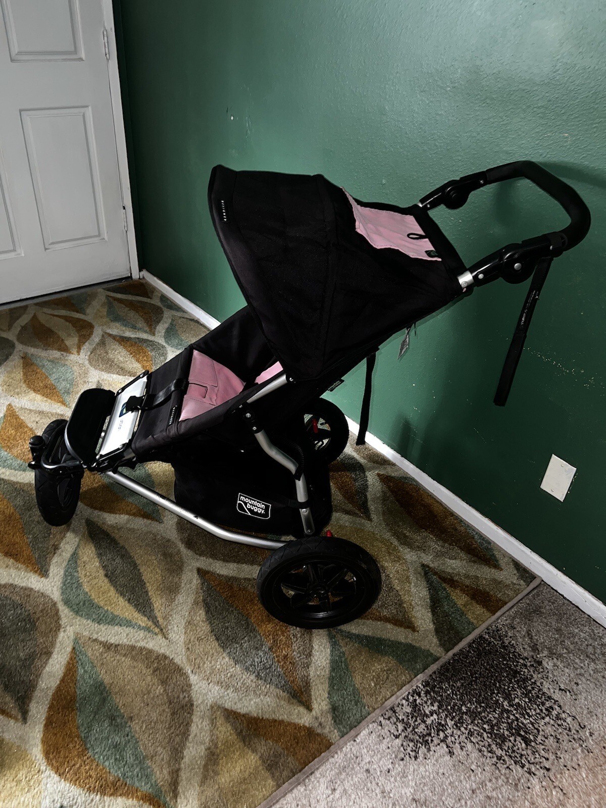 Mountain Buggy Stroller