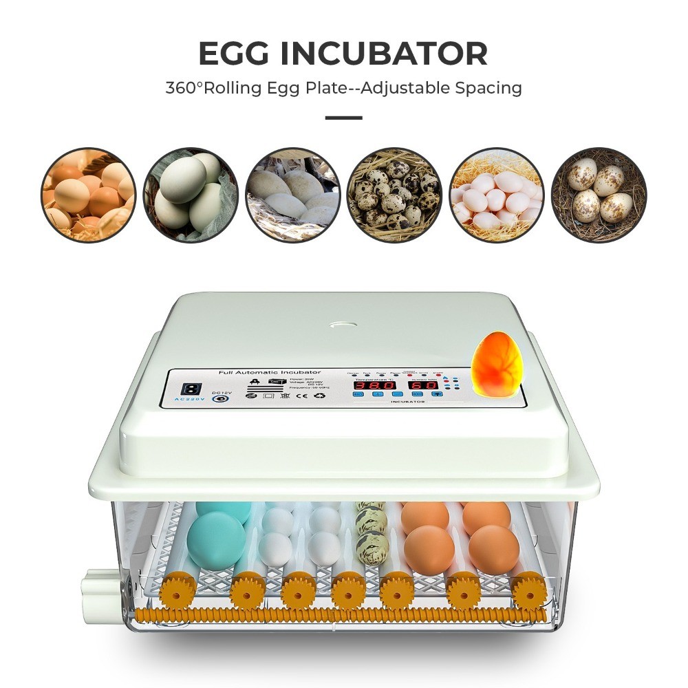 36Egg Incubators for Hatching Eggs with Automatic Egg Turning and Egg Candler