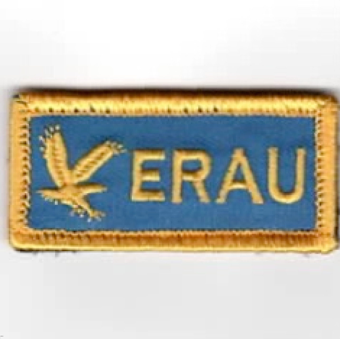 EMBRY RIDDLE AERONAUTICAL UNIVERSITY ERAU BLUE YELLOW FSS EMBROIDERED PATCH