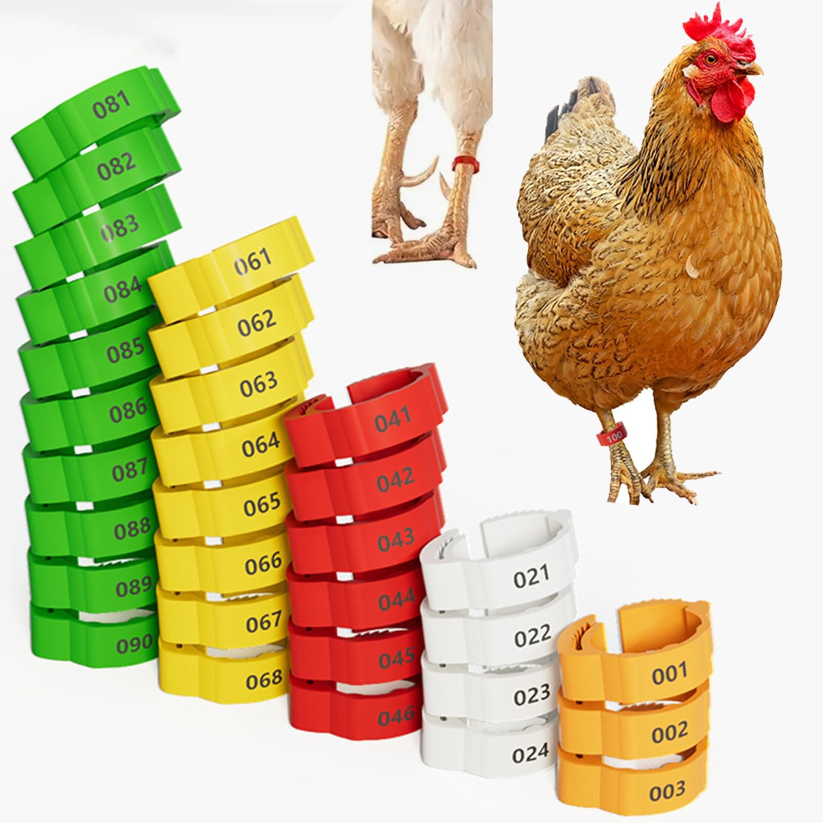 16mm 100 Pcs Adjustable Poultry Leg Bands,Chicken Leg Rings,Duck Leg Bands,5