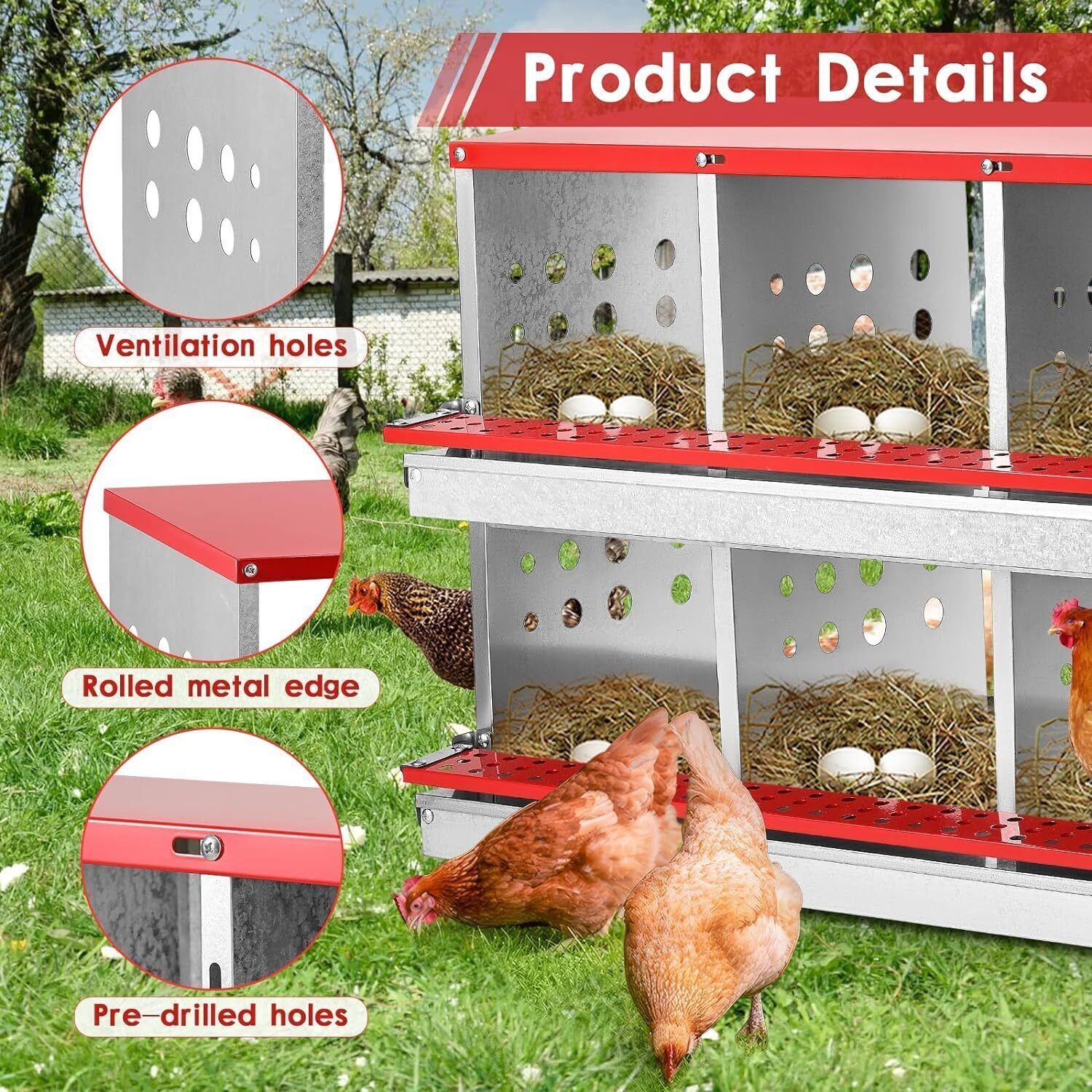 10 Hole Chicken Nesting Boxes Chicken Egg Laying Box with Rollout Egg Collection