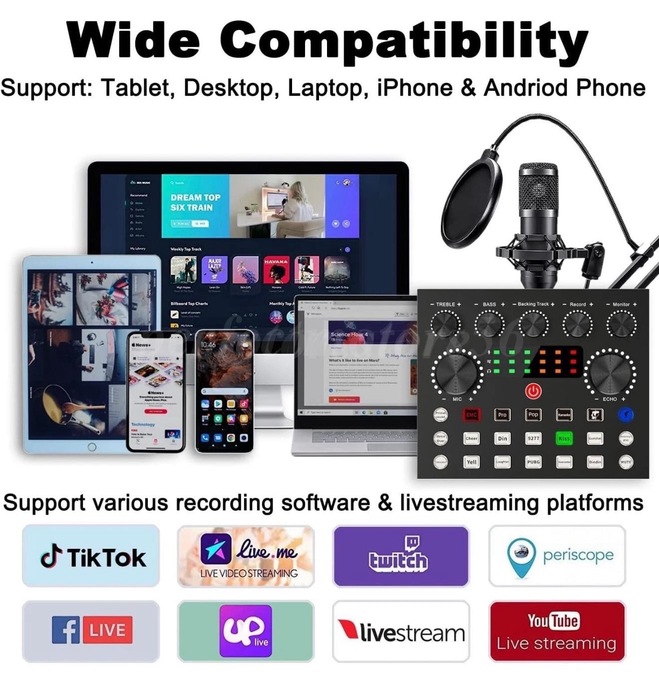MICYUSING BM-800 Audio Interface & Condenser Microphone Set, Cardioid, DSP Chip