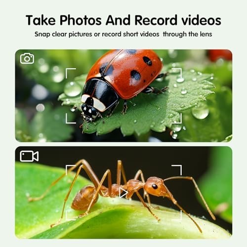 Microscope for Kids, Mini Portable Handheld Microscope with 500X Magnification,