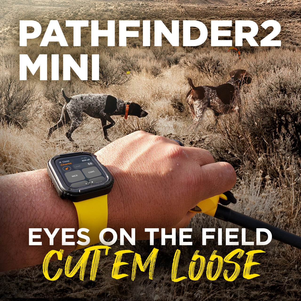 Dogtra PATHFINDER2 MINI GPS Tracking & Training E-Collar SmartPhone FREE Cut'em