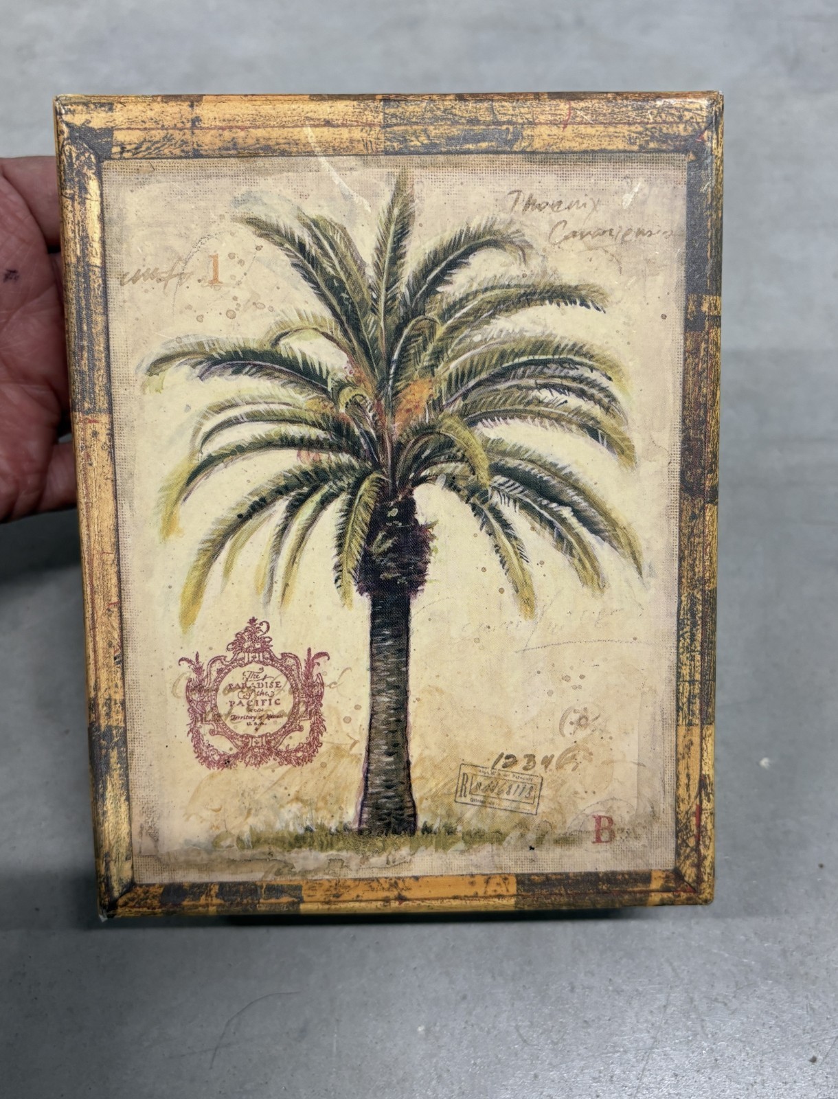 Note Card Box Set Palm Tree Art Prints by Chad Barrett 20 Cards & 20 Envelopes