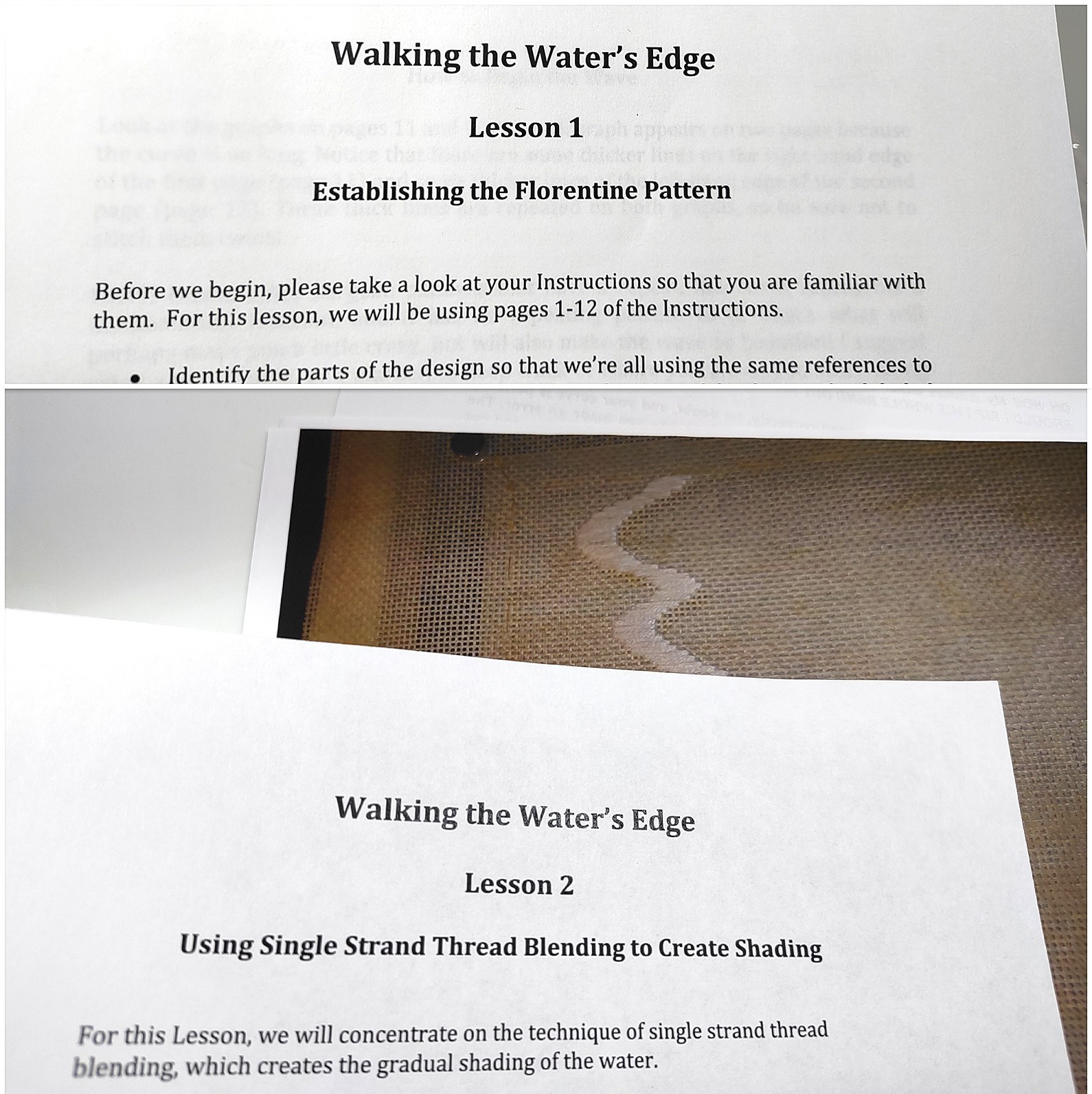 Diane Herrmann Needlepoint Pattern Walking Water’s Edge + RETIRED Class Lessons