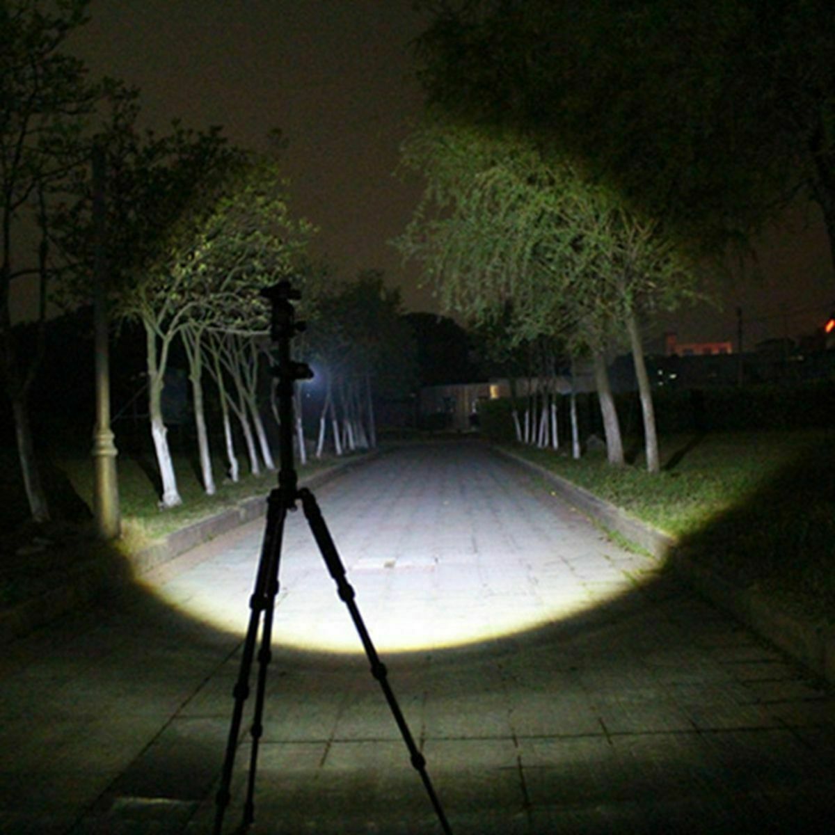 LED Tactical Flashlight Military Grade Torch Small Super Bright Handheld LightUS