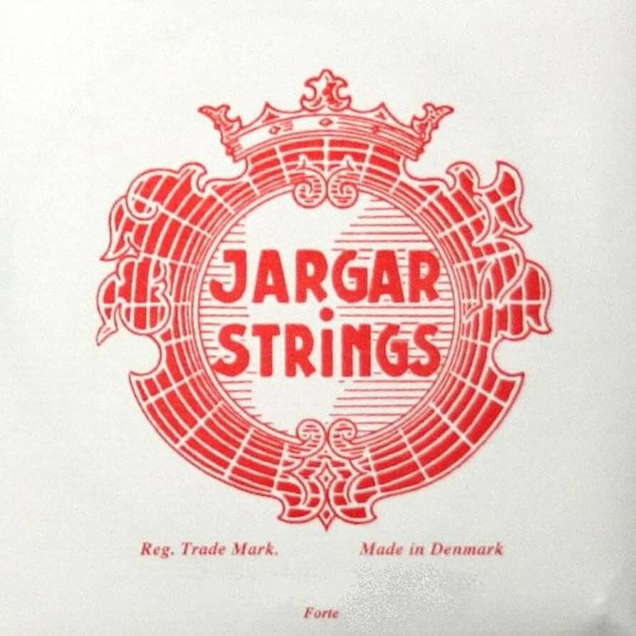 Jargar 4/4 Violin Set with Loop E, Forte Gauge, Authorized Dealer