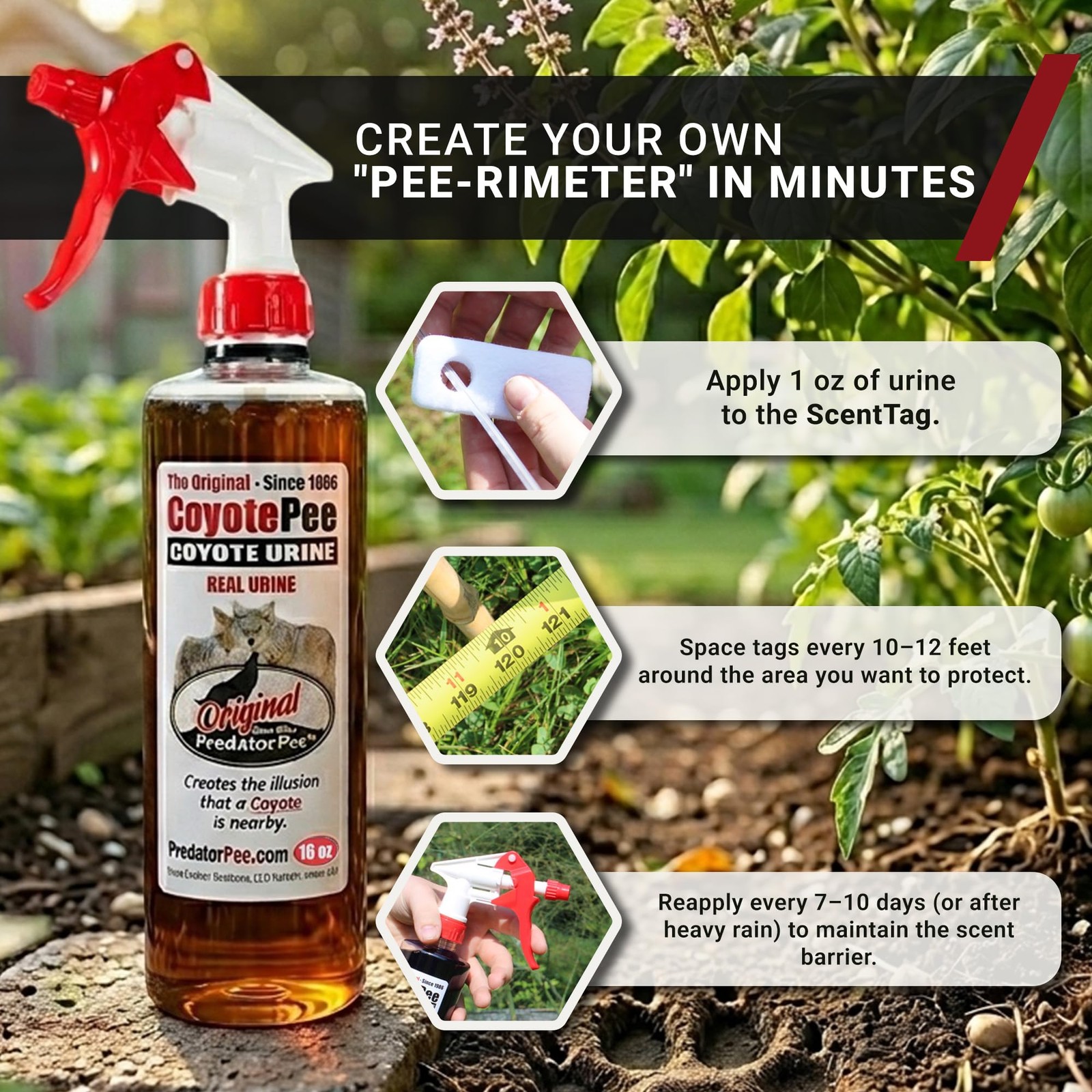 PredatorPee 100% Coyote Urine Kit Territorial Marking Scent Kit Creates Predator