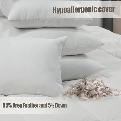 Throw Pillow Inserts 20'' x 12'' Set of 2, Down Feather Decorative Pillows,