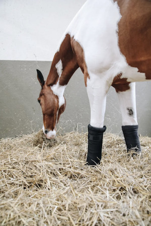 Kentucky Repellent Stable Bandage