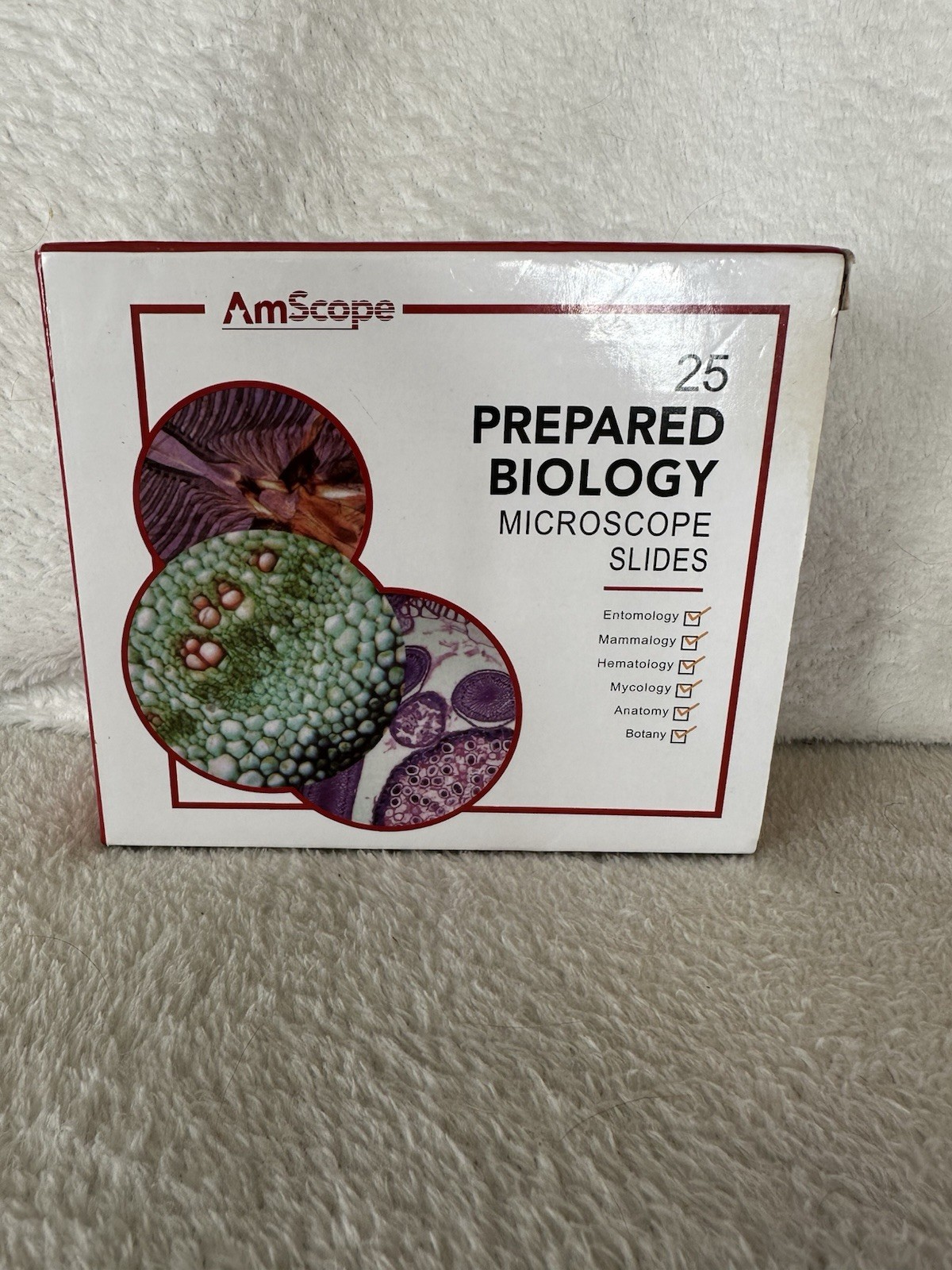 AmScope PS25W 25 Prepared Biology Microscope Slides with Glass and Wooden Box