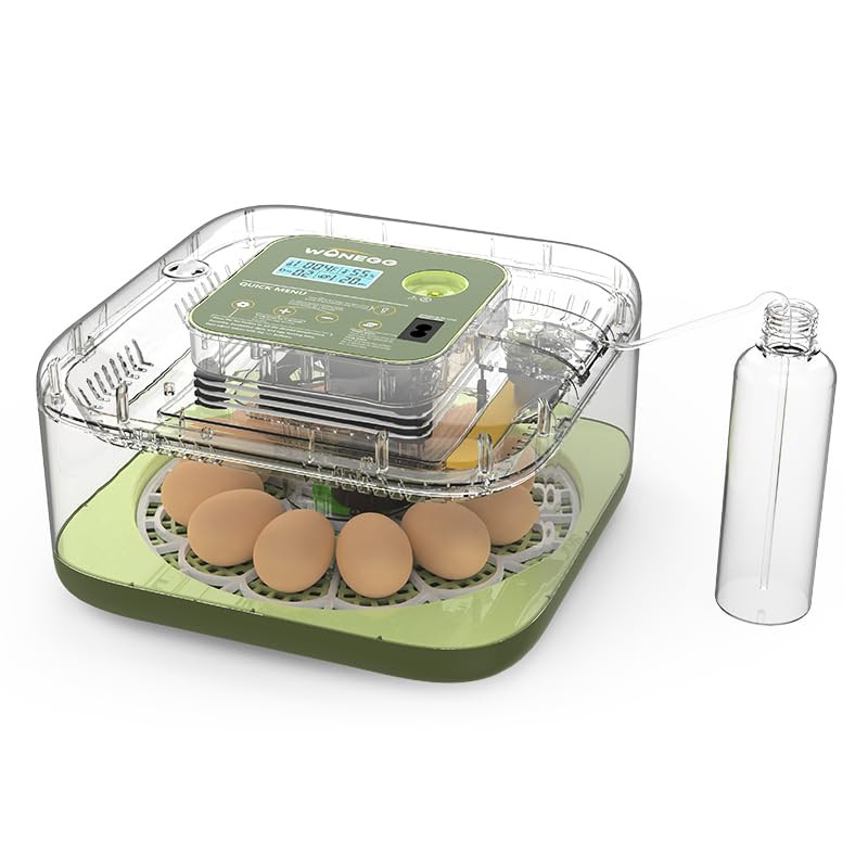 12 Egg Incubator for Hatching Eggs with Automatic Turning, Temperature & Humidit