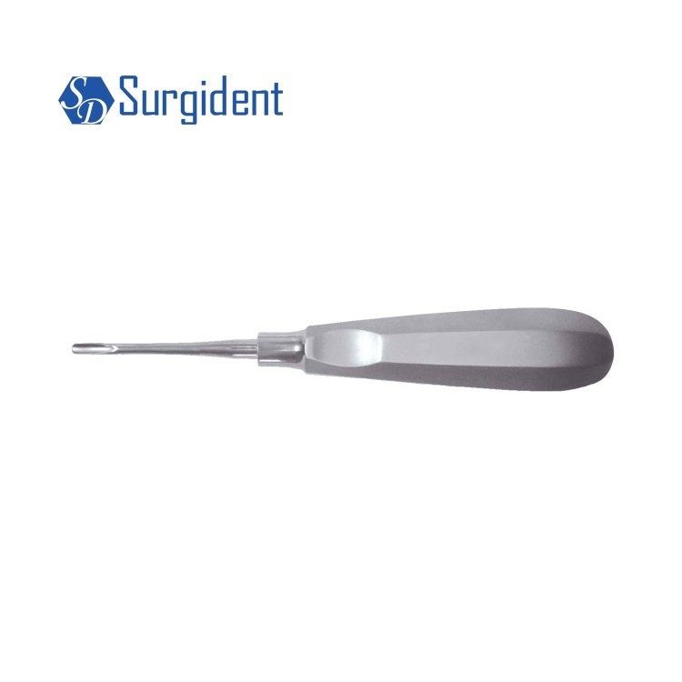 Surgident Dental Root elevator Oral Surgery Surgical Instrument 12 types