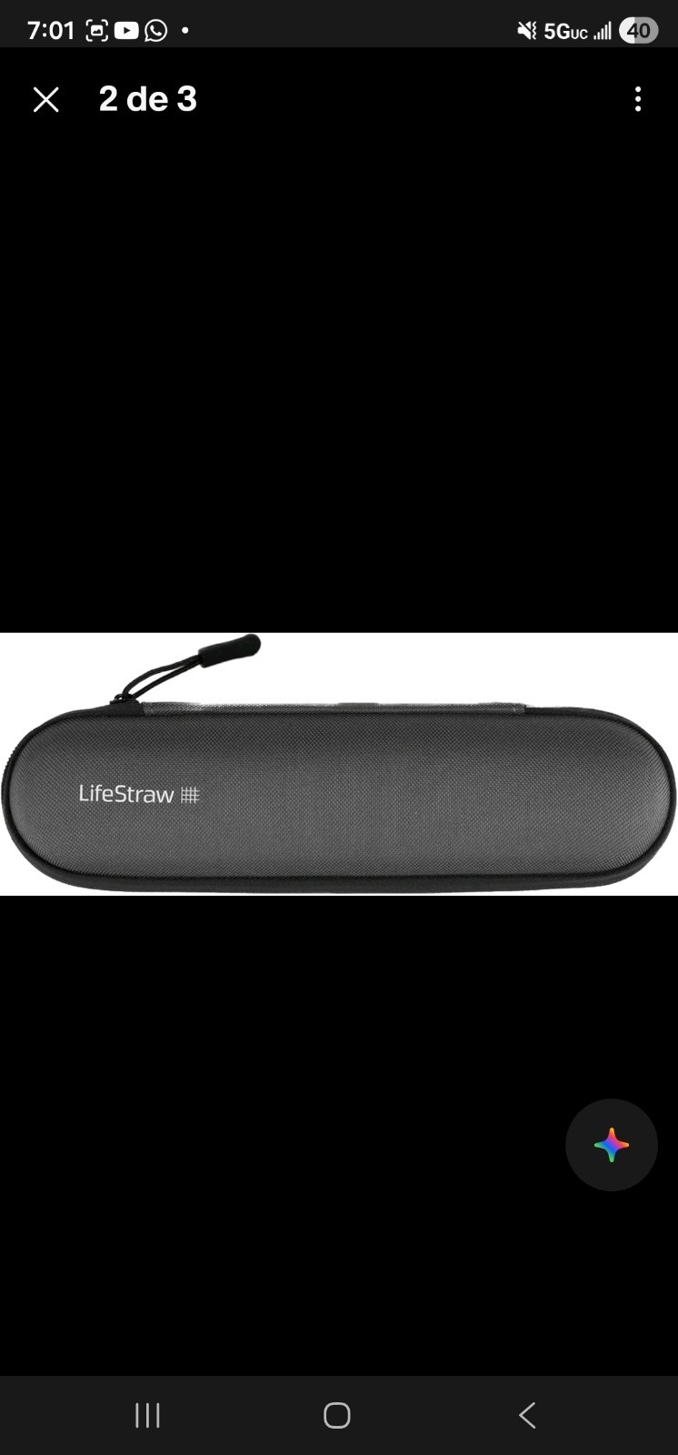 LifeStraw Personal Water Filter Straw Official Carry Case, for Camping Travel US
