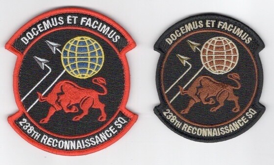 USAF Patch 238th RECON SQ, Offutt NE Set, Color & OCP, 4" & 3.5" hooked backing.