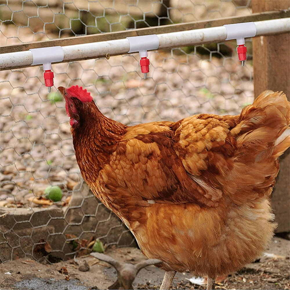 three-way Connector For Chicken Waterer Fully Automatic For Threaded Chicken