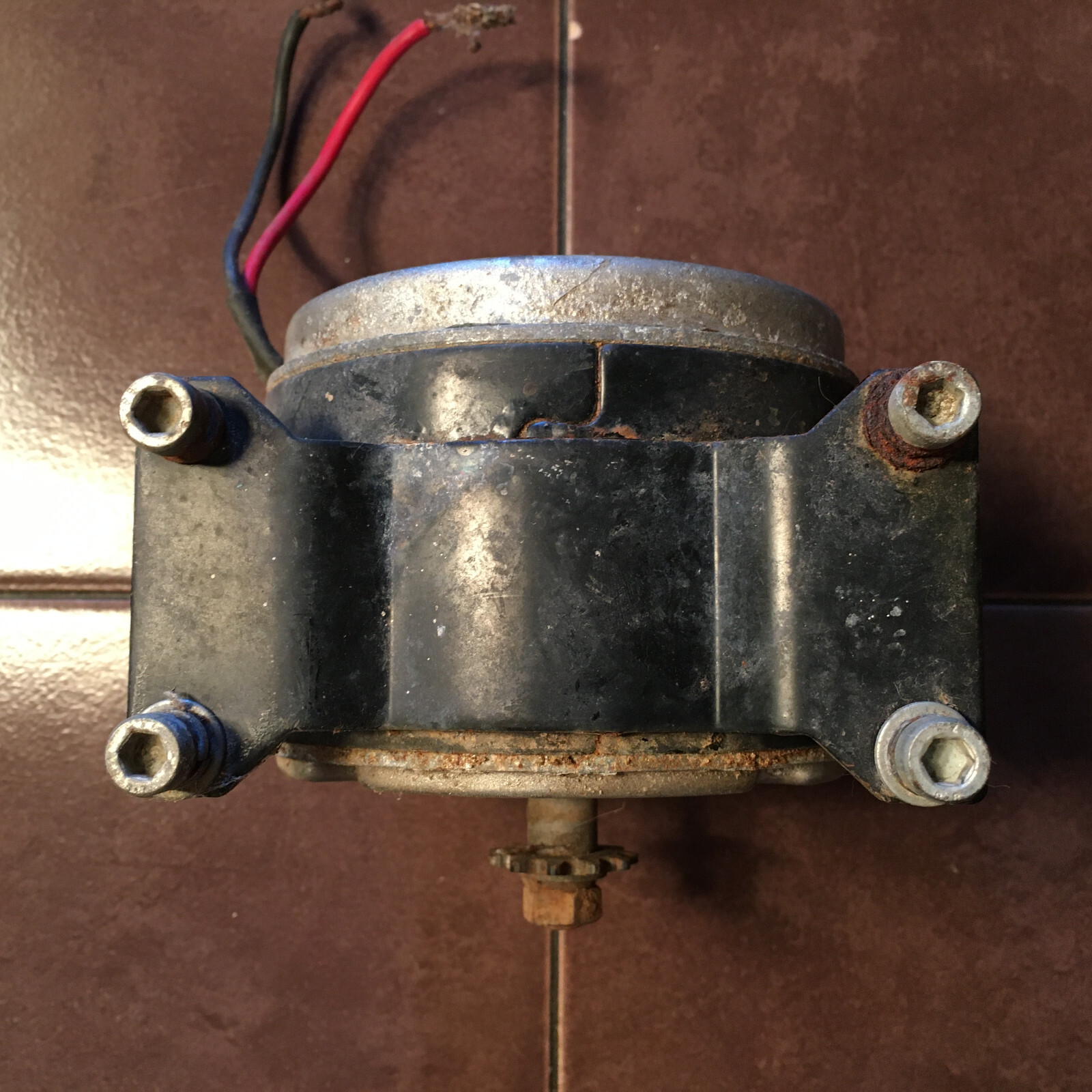 24 Volt 250 Watt MY1016 Electric Motor