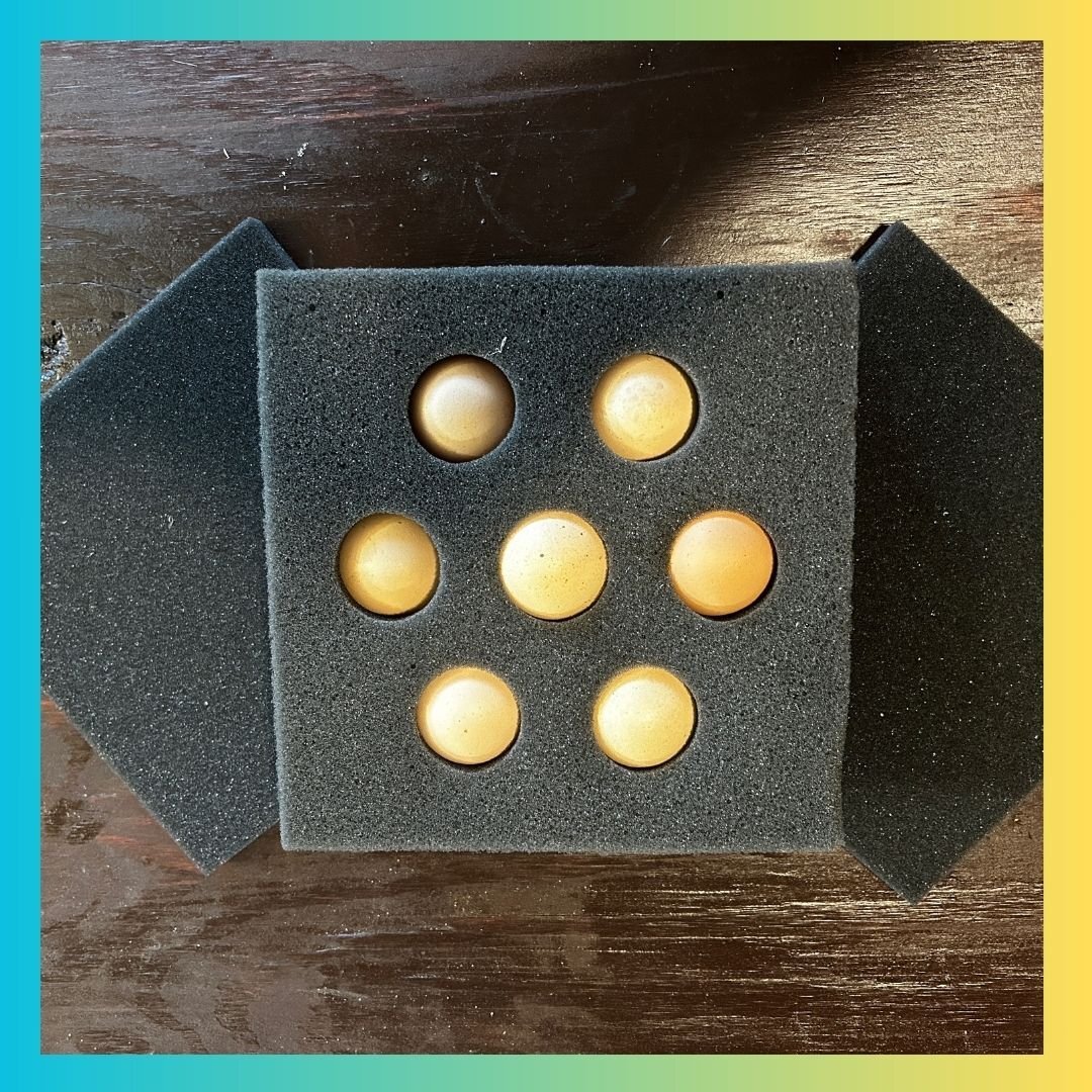 Bantam Chicken Foam 7 hole Sets--Free Shipping