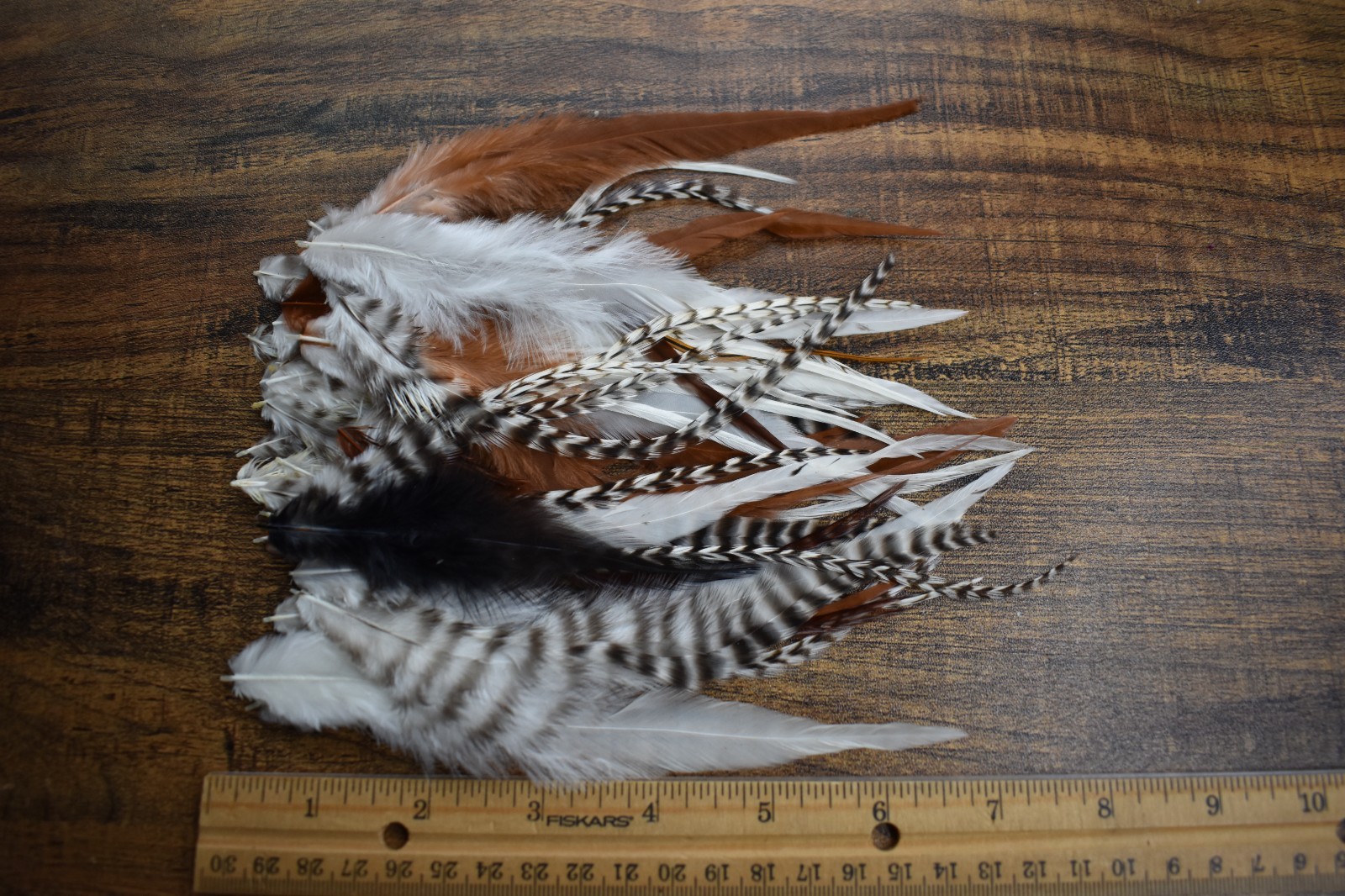 Lot 12,   40 Fluff Saddle Feather Feathers SHORT LENGTH for Fly Tying Jewelry