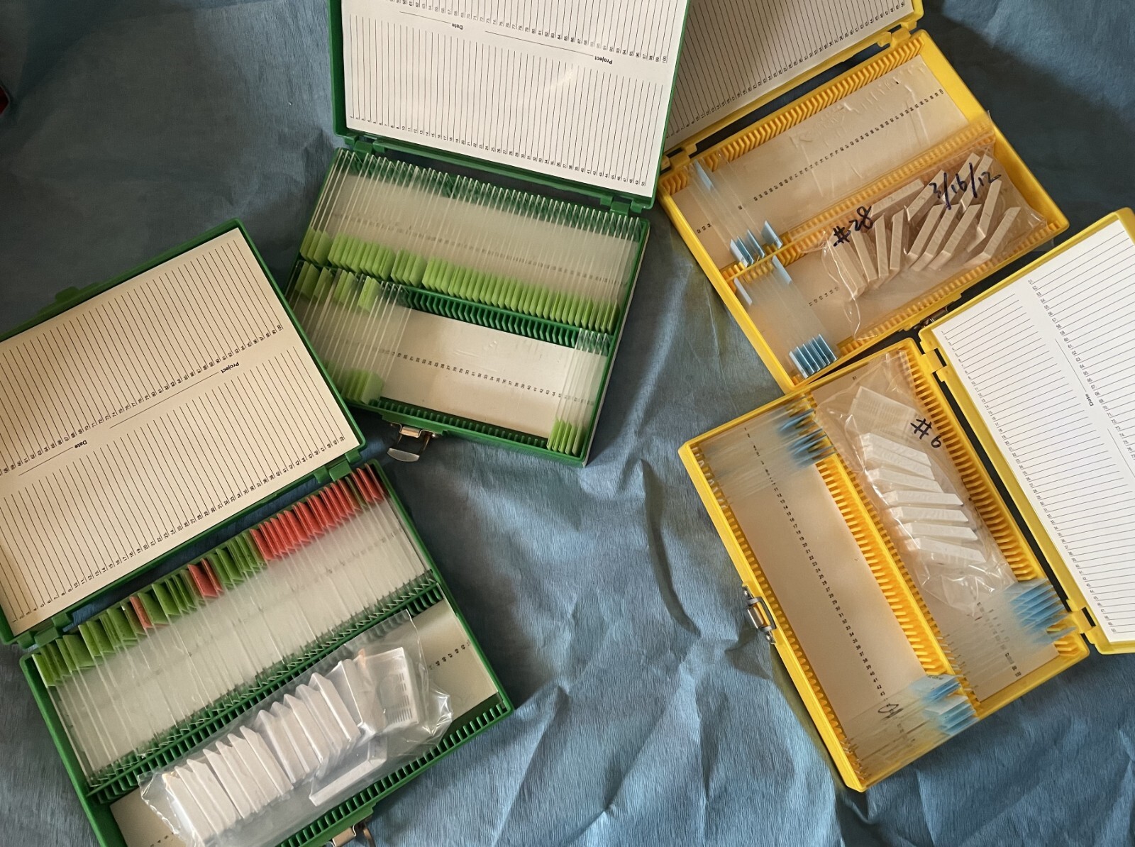 Four Microscope storage boxes with mouse tissues slides, 10,11,12,13