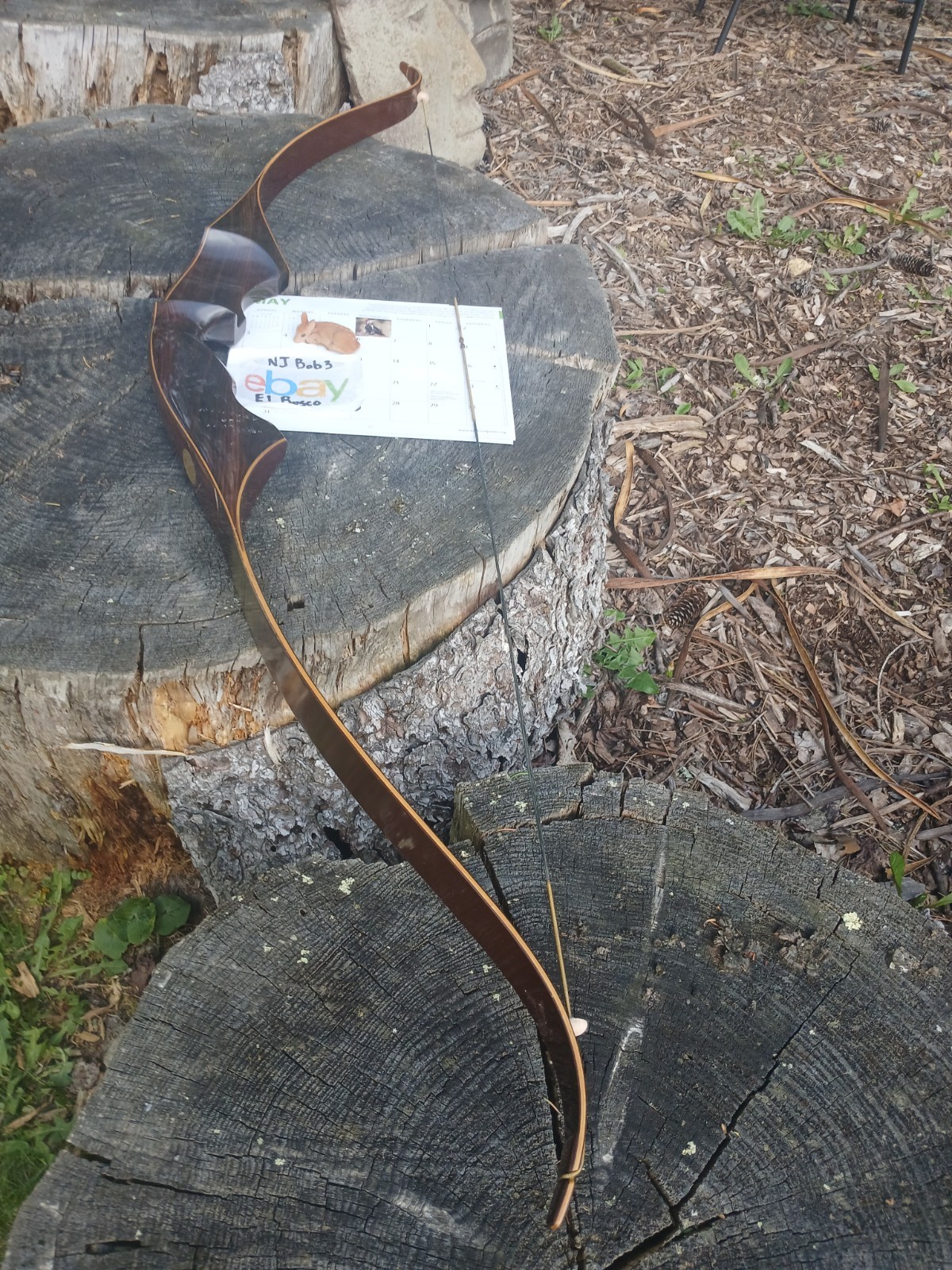 Vintage Ben Pearson Archery  Mercury Hunter recurve 49#