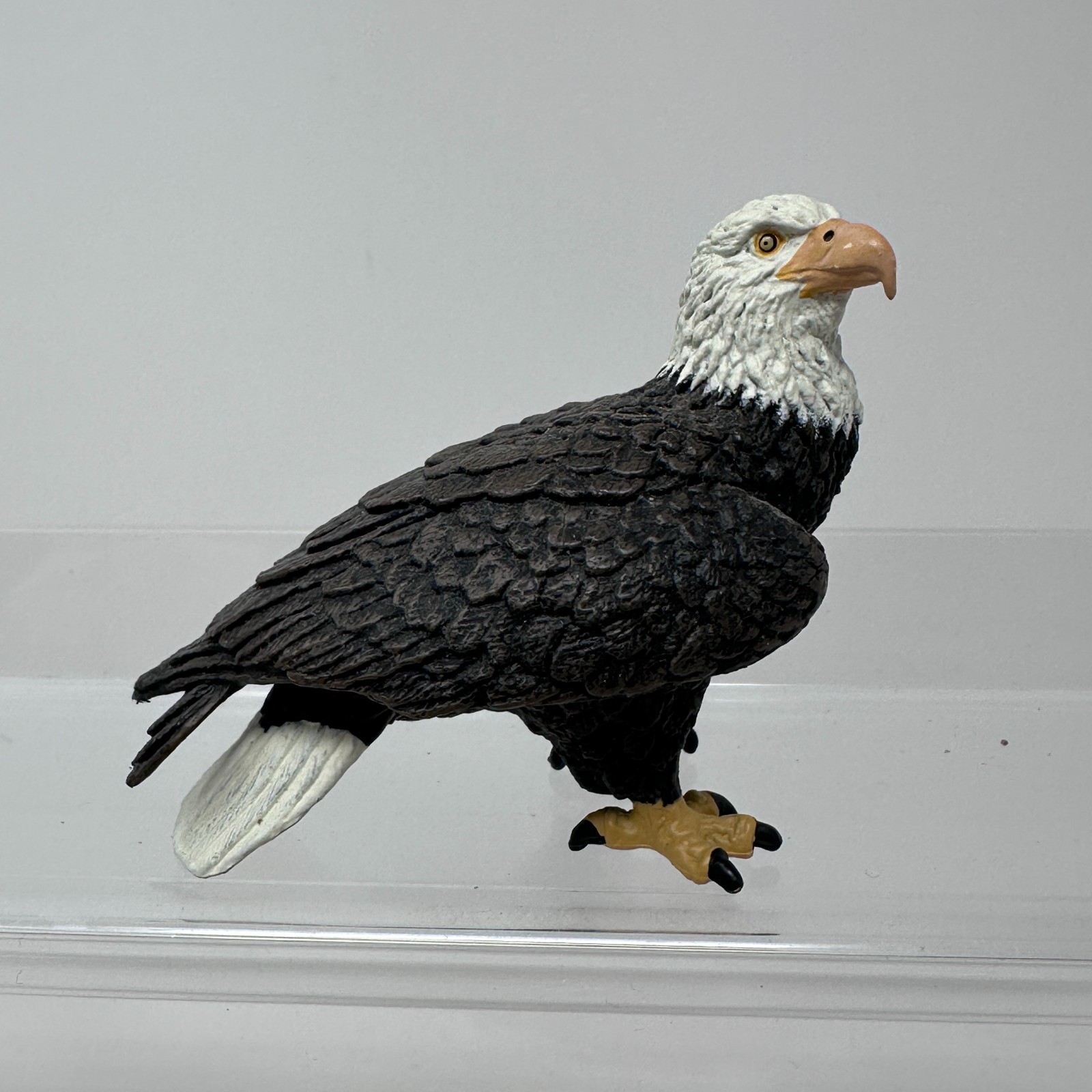 Safari Ltd Bald Eagle Figure Black White Wildlife Animal Bird Figurine 2008
