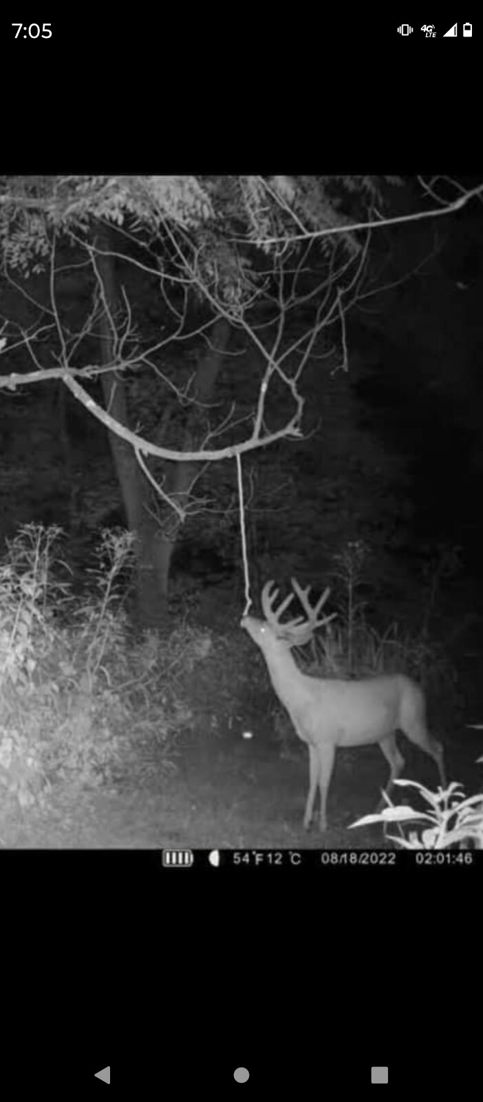 deer attractant Rope Kit! Free Shipping!