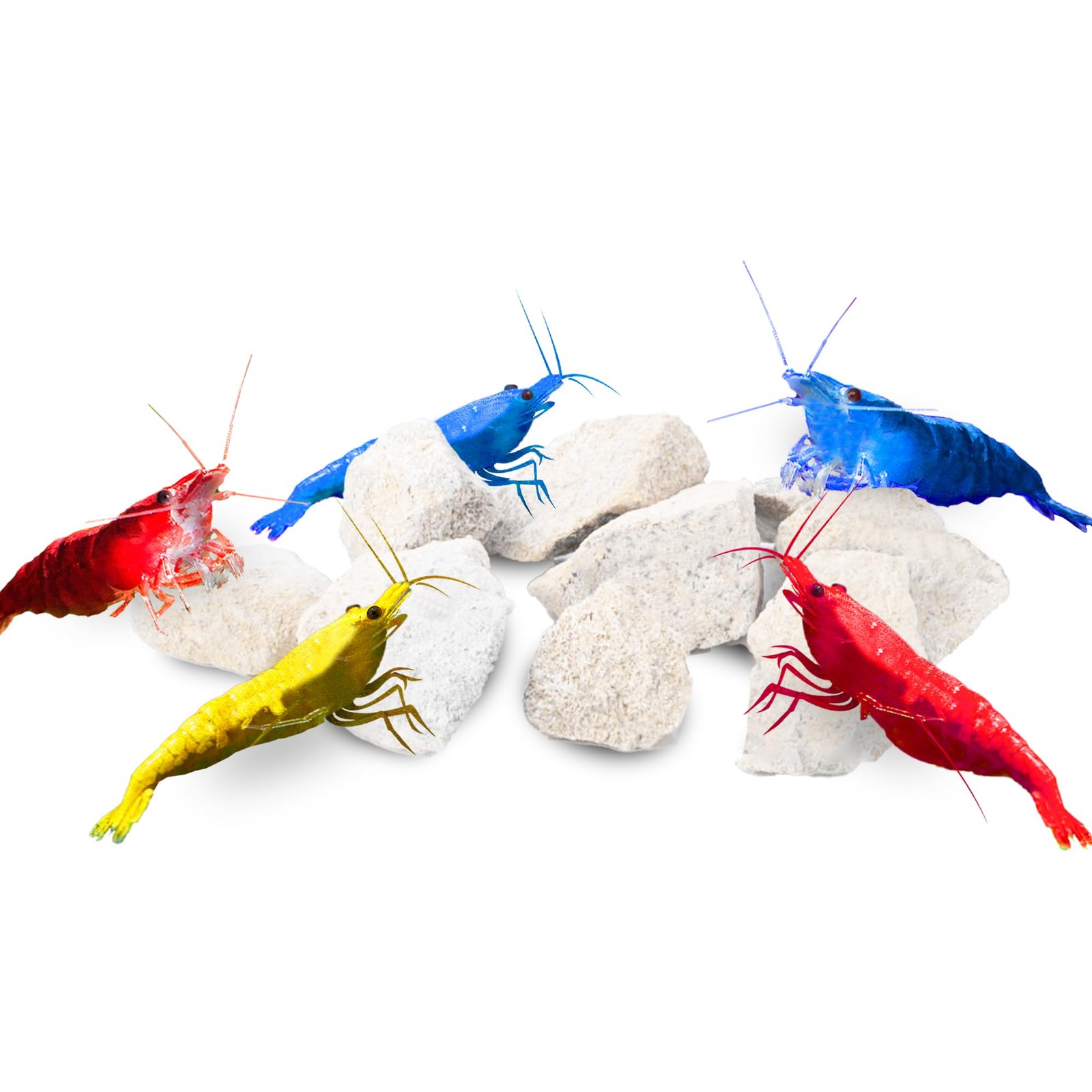 JOR Water Conditioner Calcium Rocks for Baby Shrimps, Isopods, and Crayfish,...