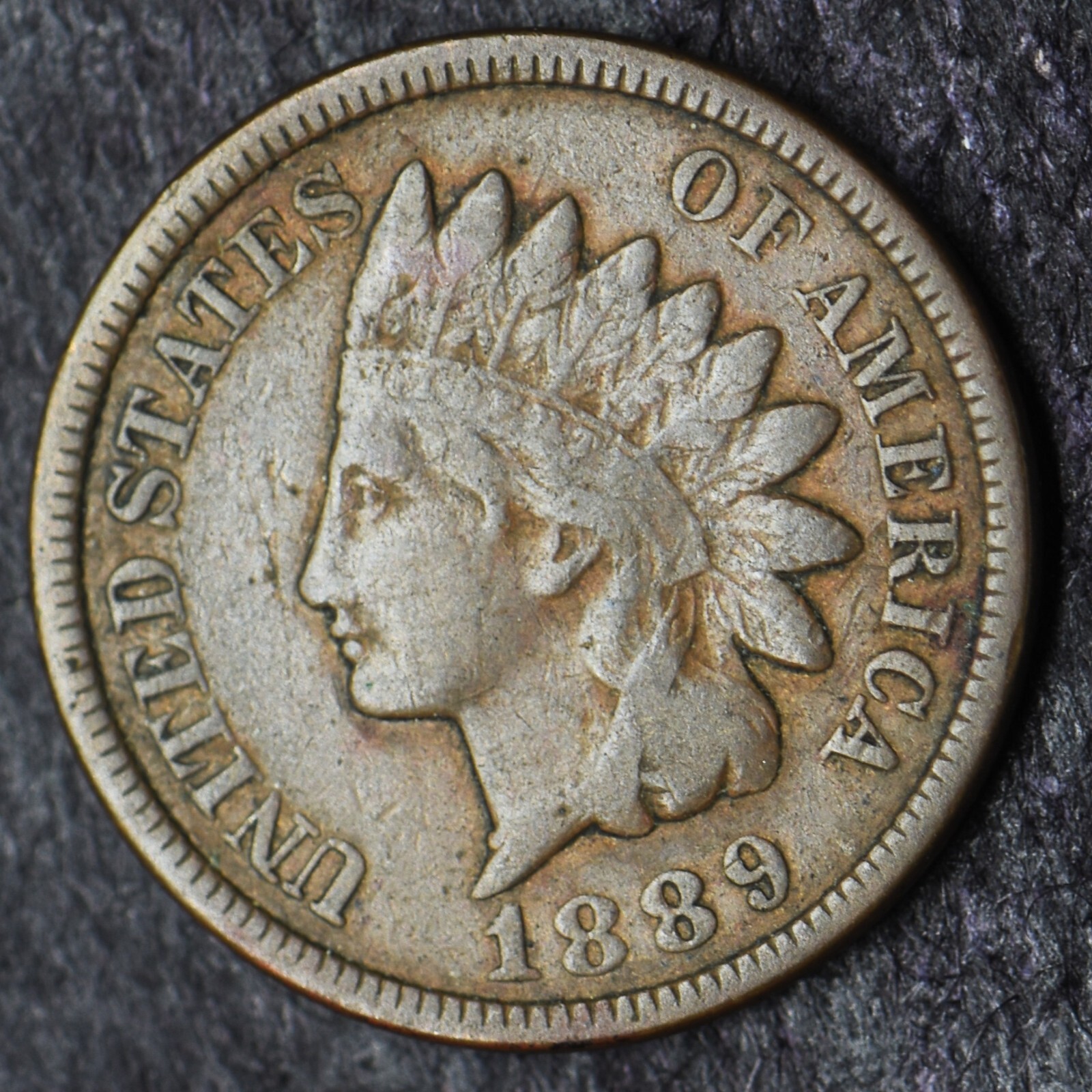 1889 Indian Head Cent 1C - COINGIANTS -