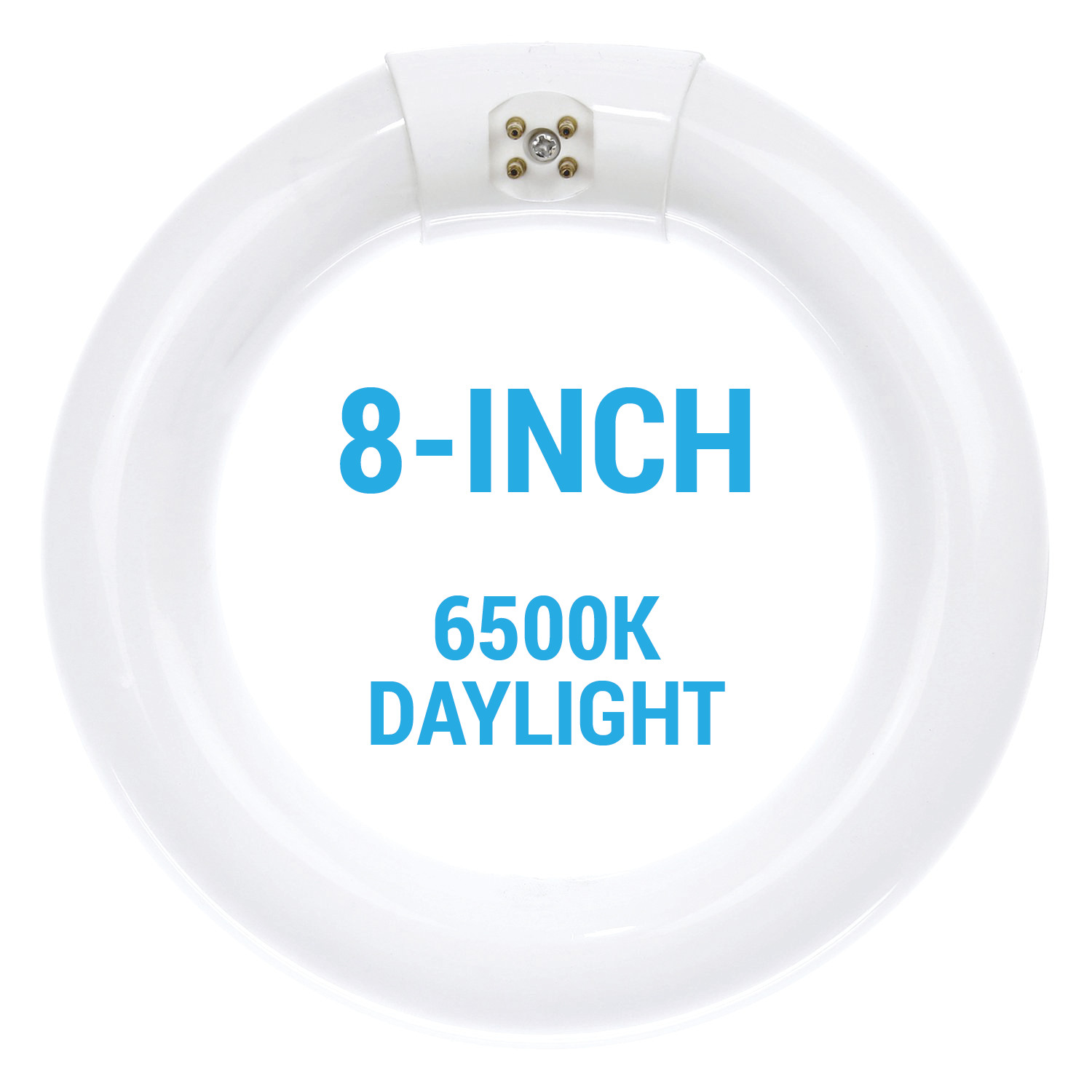 FC8T9/DL Fluorescent 8-Inch Circline Bulb 22W T9 6500K Daylight Light 4-Pin G10q