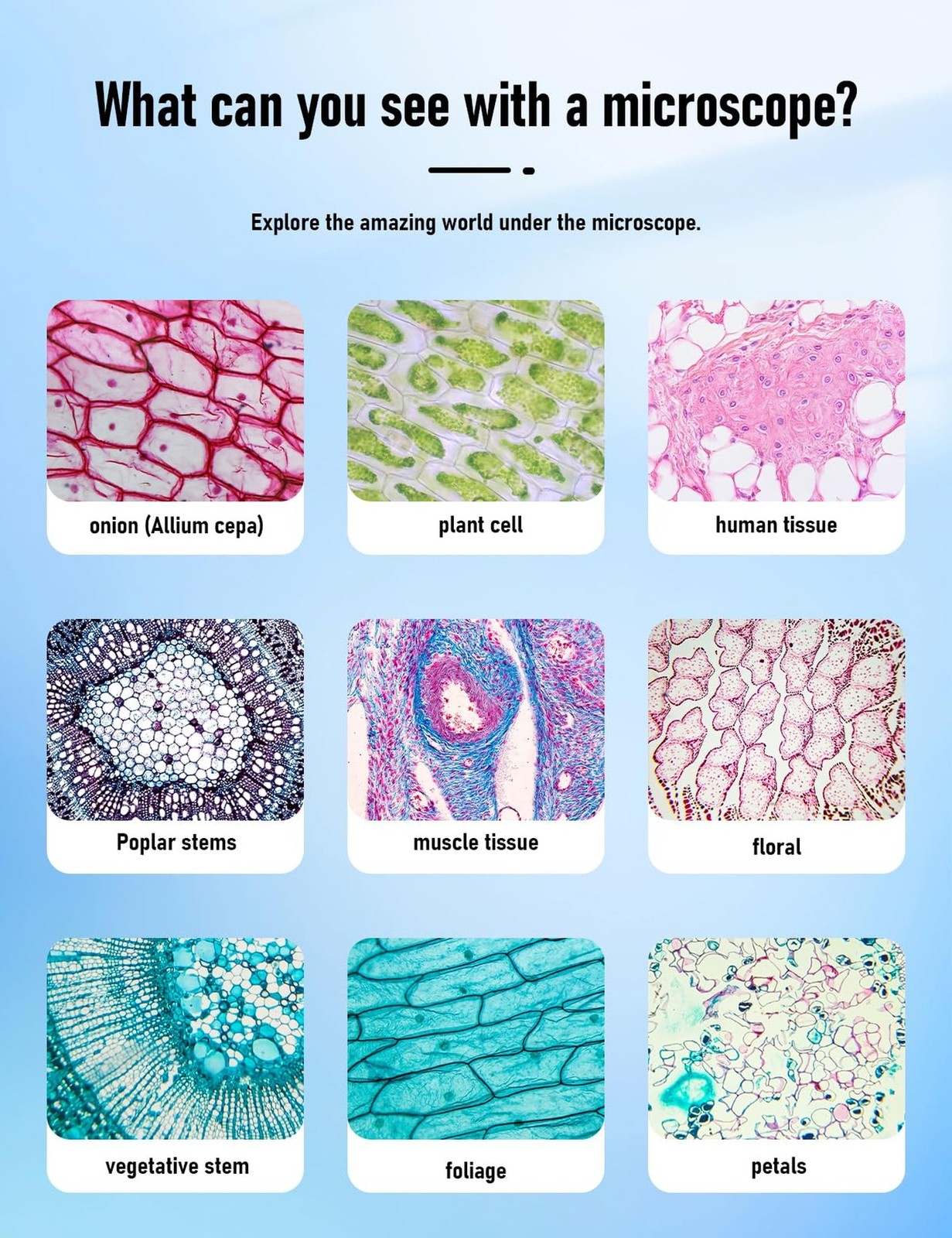 Binocular Compound Microscope 40X-2000X, Research Grade Professional Microsco...