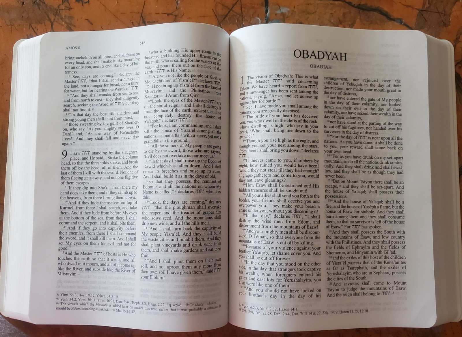 The Scriptures 2009 Version (Soft Cover)