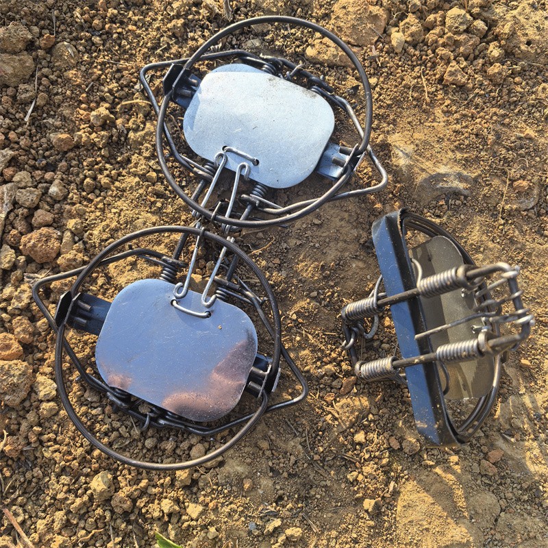 (3 TRAPS) 4-3/10" Coil Spring Trap Mouse Rat Coyote Raccoon Nutria Mink Hare