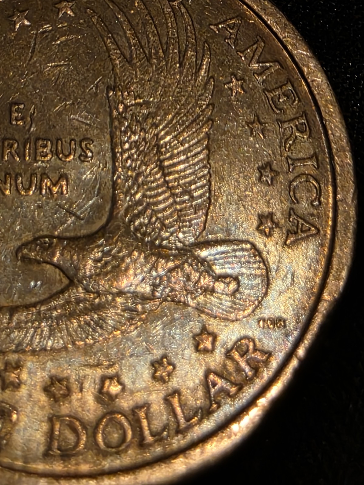 2000 P Sacagawea Dollar Wounded Eagle