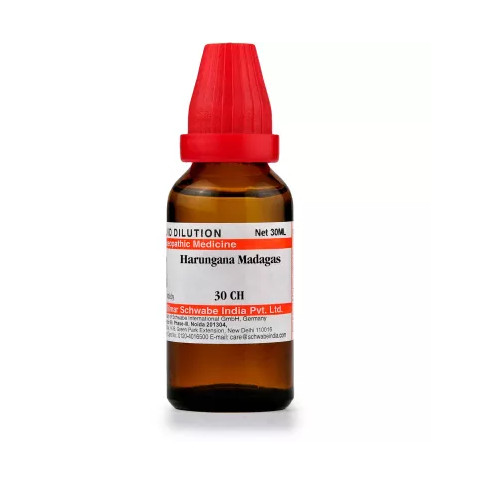 Willmar Schwabe India Homeopathic Harungana Madagas Dilution 30ml