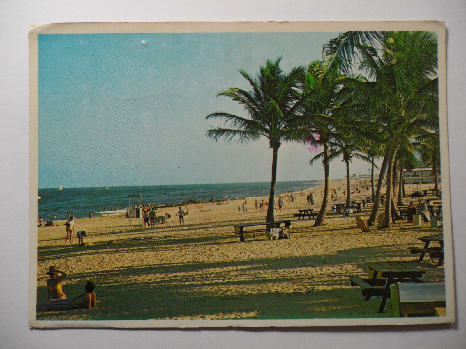 STAMPMART : USA PALM SHADED BEACH FLORIDA COAST POSTCARD USED TO WASHINGTON